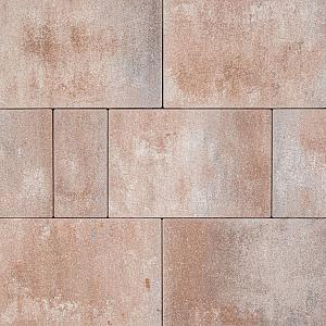 Alp.X2.412 - kl-wv 6 cm. - bruin- oranje gemêleerd