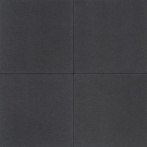 Alp.X2.416 - 60x60x5 cm. - antraciet