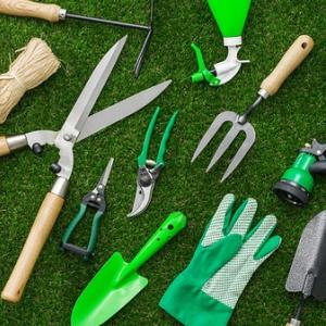 <p>Een mooie en gezonde tuin begint bij goed gereedschap. Met het juiste tuingereedschap wordt het onderhoud van je tuin een stuk eenvoudiger en leuker. Of je nu een kleine stadstuin hebt of een grote moestuin, er zijn altijd gereedschappen die je helpen om je planten te verzorgen, de grond te bewerken en je tuin netjes te houden.</p>
