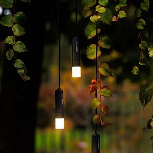 <p>Wand- en Hanglampen 12 Volt – Veilig en Stijlvol Verlichtingsadvies</p>
<p>Onze wand- en hanglampen op 12 volt zijn dé ideale keuze voor wie op zoek is naar veilige, energiezuinige en veelzijdige verlichting. Dankzij het lage voltage bieden deze lampen extra veiligheid, waardoor ze perfect zijn voor gebruik in woningen, kantoren of commerciële ruimtes.</p>
<p>Wandlampen 12 volt zijn perfect om subtiele accentverlichting te creëren, bijvoorbeeld langs gangen, in leeshoeken of bij het bed. Ze zorgen voor een warme, sfeervolle ambiance zonder dat ze veel ruimte innemen. Hanglampen 12 volt zijn ideaal als eyecatcher boven een eettafel, werkplek of in een woonkamer. Met hun moderne designs en diverse materialen passen ze in vrijwel ieder interieur.</p>
<p>De combinatie van laagspanningsverlichting met LED-technologie maakt onze wand- en hanglampen energiezuinig en duurzaam. Daarnaast zijn ze eenvoudig te installeren en te combineren met dimmers, zodat je zelf de juiste sfeer kunt bepalen.</p>
<p>Kies voor wand- en hanglampen 12 volt en geniet van stijlvolle, veilige verlichting die perfect aansluit bij jouw woonwensen</p>
