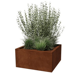 <p>Geef je tuin, balkon of interieur een eigentijdse uitstraling met de stalen plantenbakken van My Steel. Deze robuuste bakken combineren strak design met duurzaamheid, perfect voor iedereen die houdt van een industriële en moderne stijl.</p>
<p><strong>Waarom kiezen voor My Steel stalen plantenbakken?</strong></p>
<ul>
	<li>
	<p><strong>Hoogwaardige kwaliteit:</strong> Gemaakt van stevig staal met een duurzame afwerking die bestand is tegen weer en wind.</p>
	</li>
	<li>
	<p><strong>Strak design:</strong> Minimalistisch en tijdloos, passend bij zowel moderne als klassieke buitenruimtes.</p>
	</li>
	<li>
	<p><strong>Veelzijdig inzetbaar:</strong> Geschikt voor binnen en buiten, ideaal voor planten, bloemen en zelfs kleine bomen.</p>
	</li>
	<li>
	<p><strong>Weerbestendig:</strong> Behandeld tegen roest en corrosie, zodat je lang van je plantenbak kunt genieten.</p>
	</li>
	<li>
	<p><strong>Maatwerk mogelijkheden:</strong> Verkrijgbaar in diverse maten en vormen, of volledig op maat gemaakt voor jouw wensen.</p>
	</li>
</ul>
<p>Met My Steel plantenbakken geef je jouw groene oase een stoere en stijlvolle boost. Ontdek ons assortiment en laat je inspireren!</p>
<p> </p>
<p>Neem een kijkje voor het gehele assortiment op <a href="https://www.mysteel.nl/">https://www.mysteel.nl/</a></p>