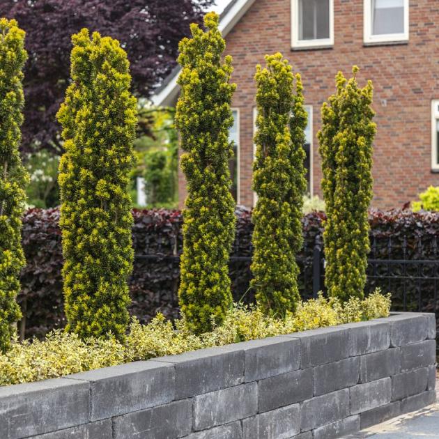 Muurblok getrommeld - 15x15x60 antraciet