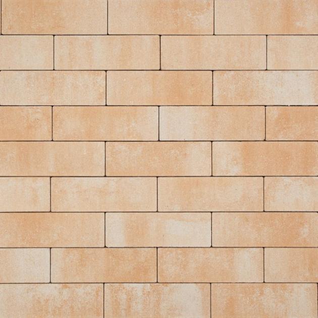 Alp.X2.414 - 10x30x6 cm - licht geel gemêleerd