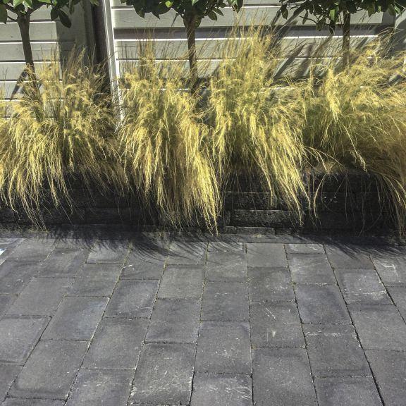 Alp.X2.201 - 20x30x6 cm - zwart gemêleerd getrommeld