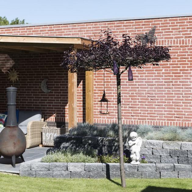 Muurblok - Alp.X.886 - 30x15x12 cm - antraciet