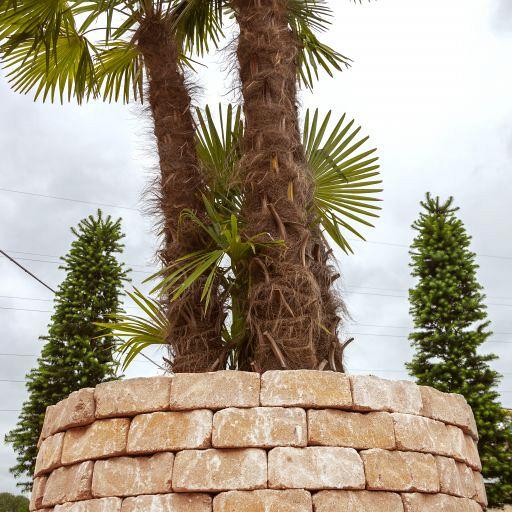 Muurblok - Alp.X.8108 - 17/24x15x10 cm - licht geel gemêleerd